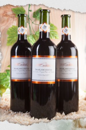 Venta online de vinos, embutidos, quesos, sidra, aceites, aperitivos, aceitunas, encurtidos y tés. Tienda online La Elección Perfecta.